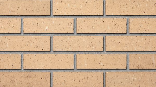 Colour sample of Shaw Brick's Tapestry Clay Brick in Buff