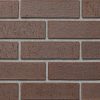 Colour sample of Shaw Brick's Tapestry Clay Brick in Charcoal