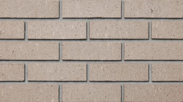 Colour sample of Shaw Brick's Tapestry Clay Brick in Grey