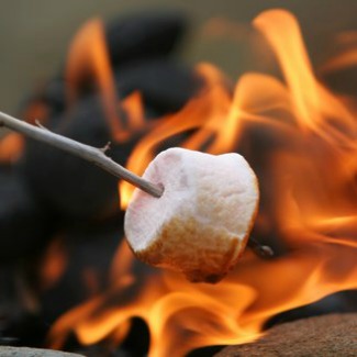 close up of a marshmallow roasting over a fire